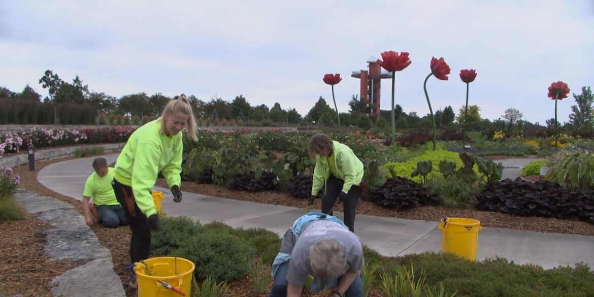 Yanney Park gardens give back to Kearney with help from caretakers Yanney Park gardens give back to Kearney with help from caretakers