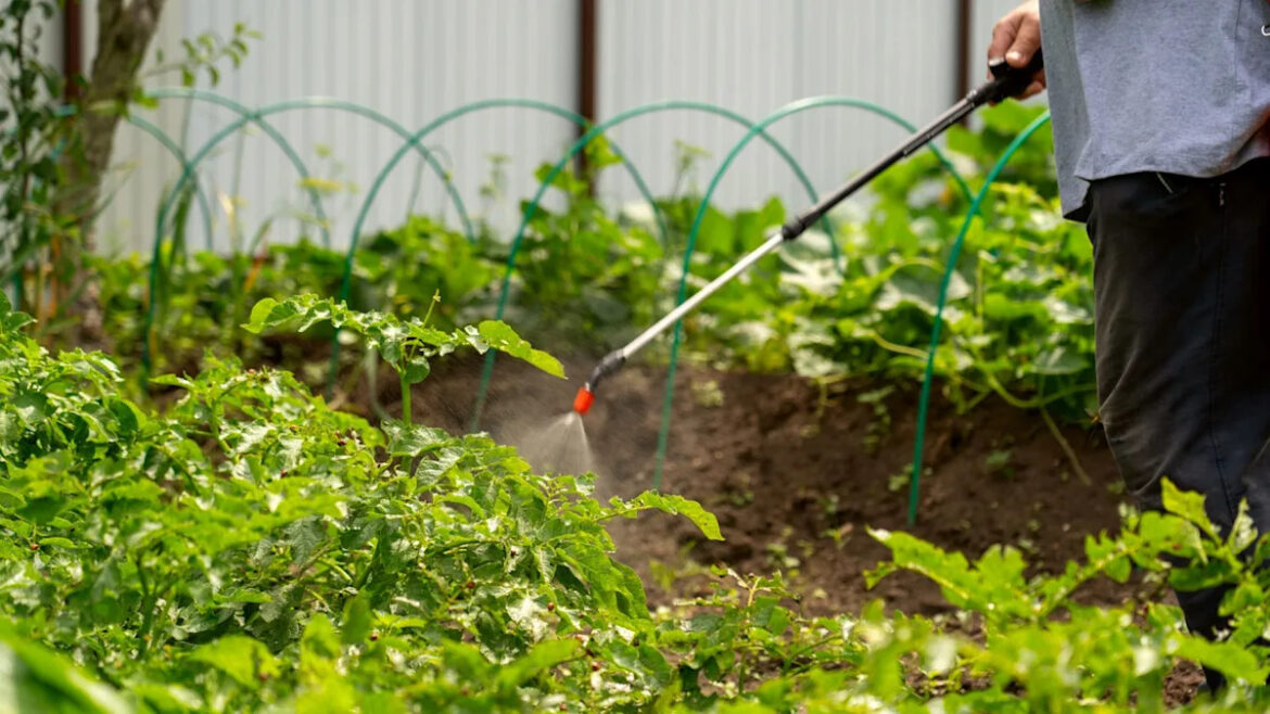 Yahoo lifestyle home