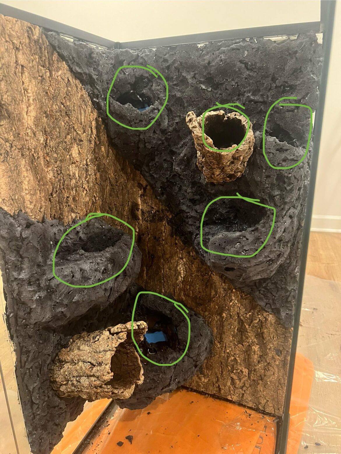 Need plant recommendations! Need plant recommendations!