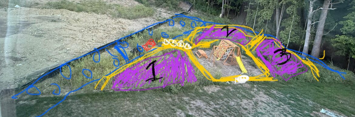 Any Suggestions on the no lawn plan?