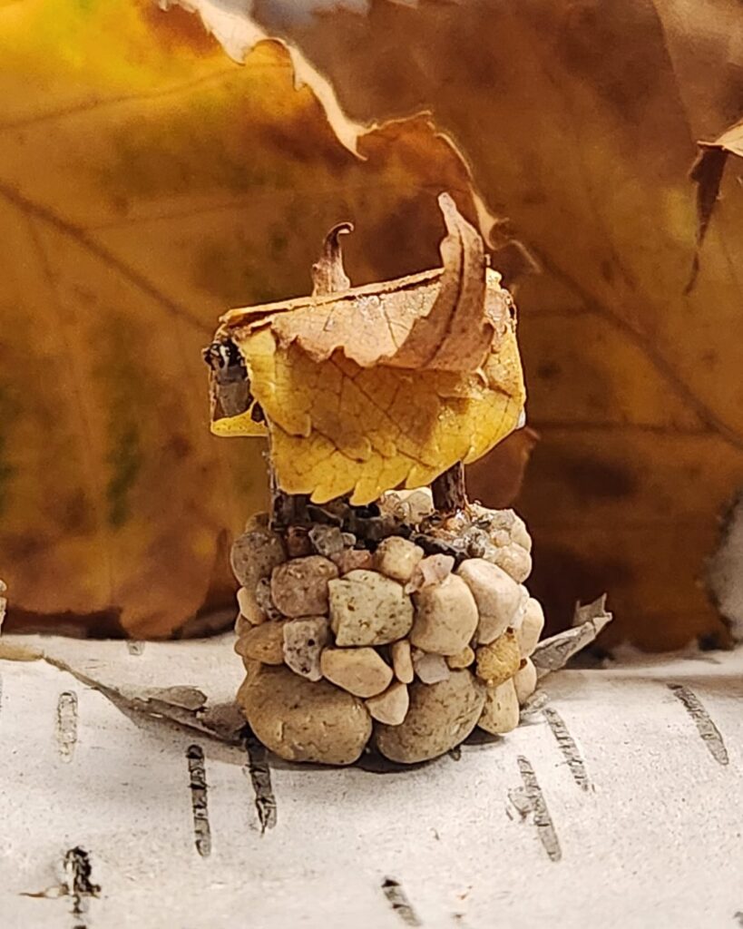 The tinyest well for the tiny terrariums The tinyest well for the tiny terrariums