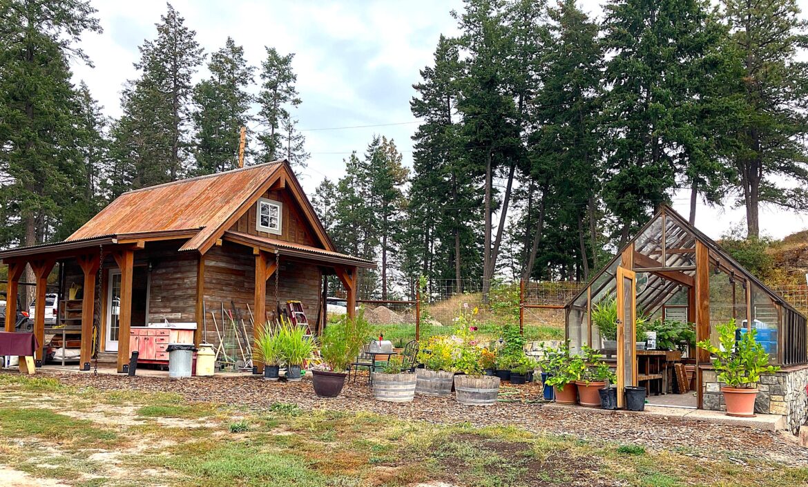 JoAnne Skelly: Trip finds amazing fruit and vegetable garden