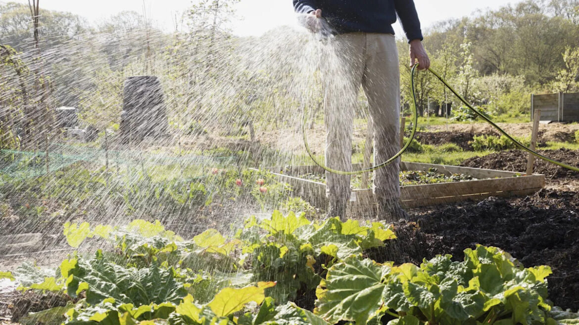 Millions From Garden Hose Brand Recalled. Is Yours One Of Them? Yahoo lifestyle home