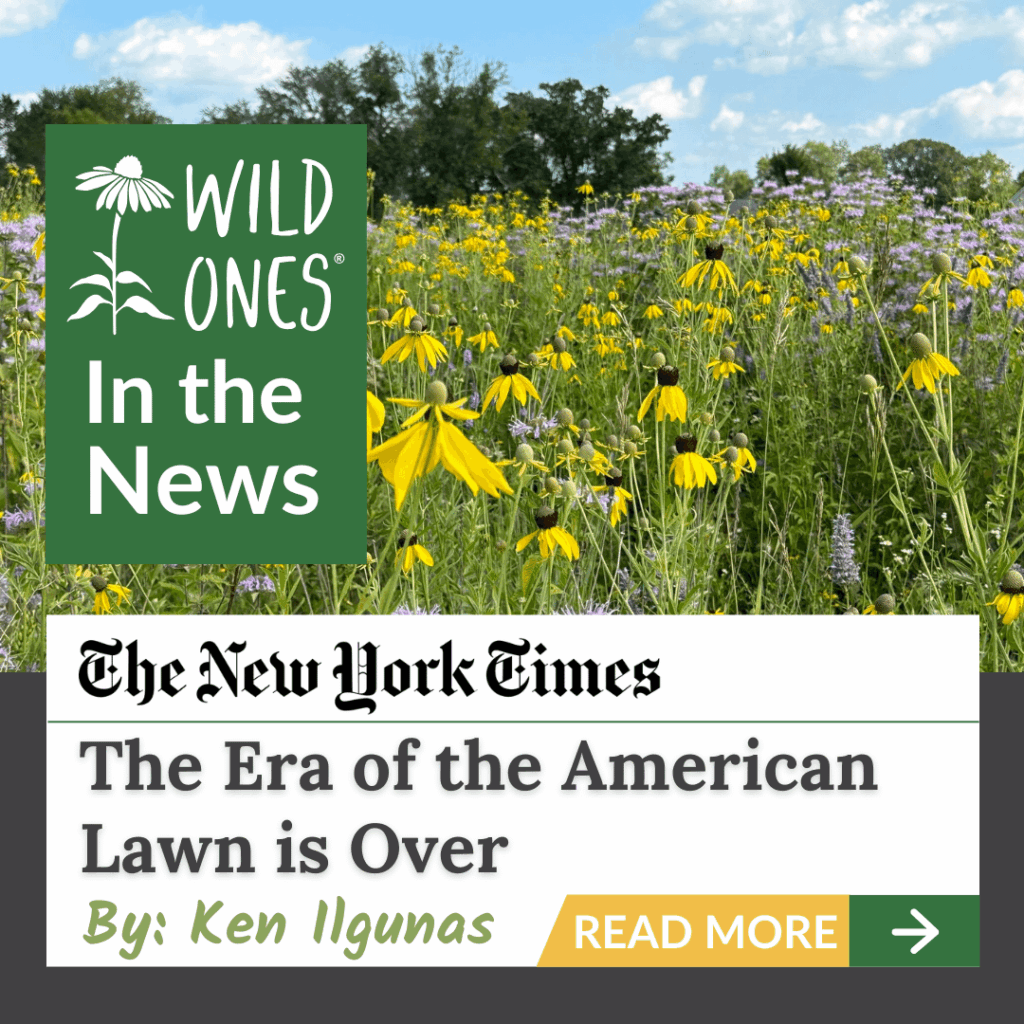 🌿 Wild Ones in the News 🌿 🌿 Wild Ones in the News 🌿