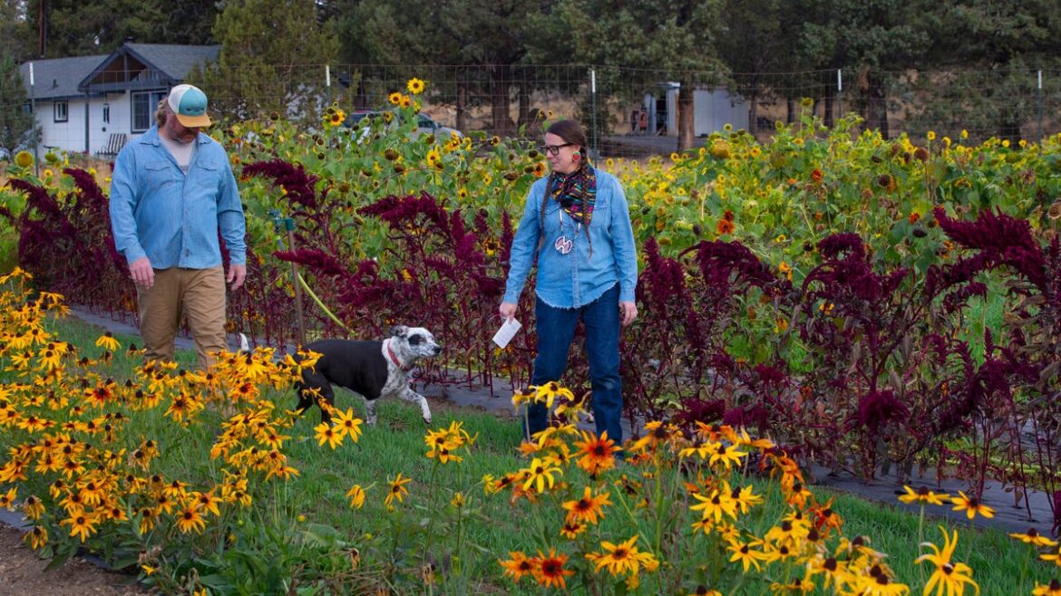 Now is the time to reflect on your garden
