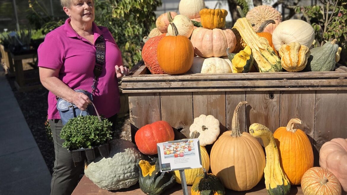 Art of Gardening Club preps for fair, Brethren project