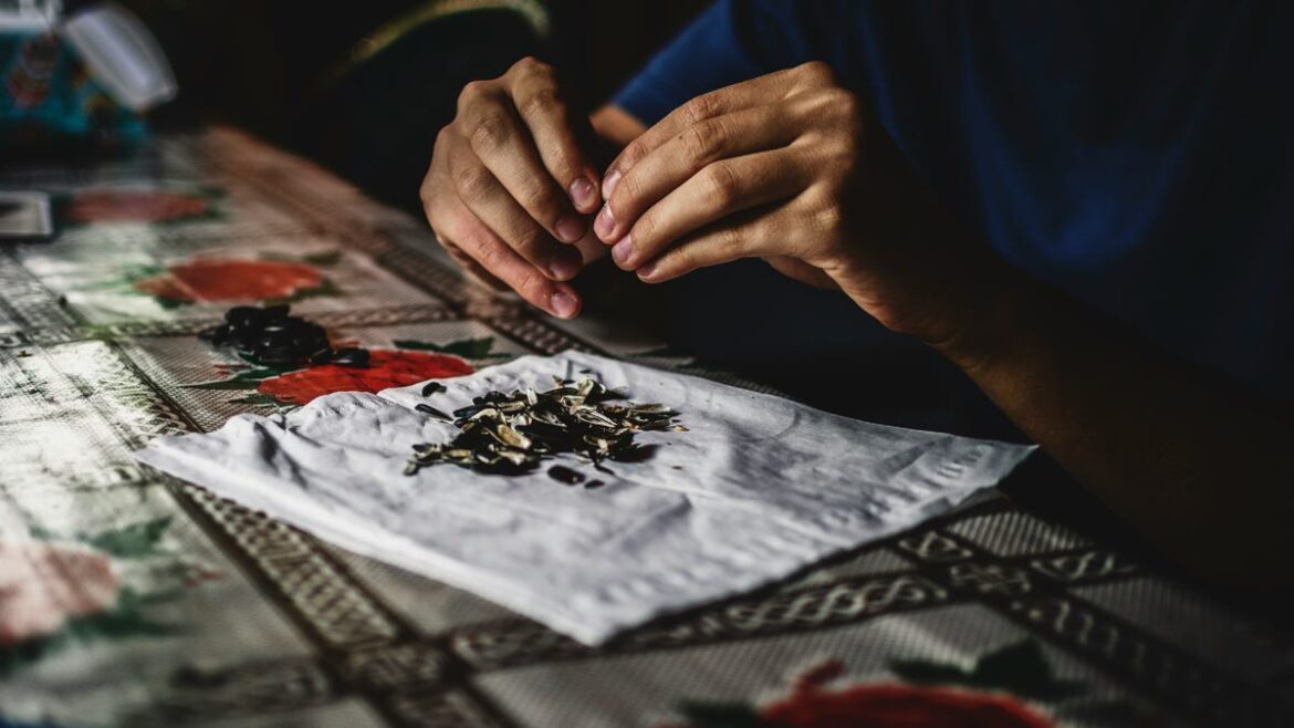 Seed libraries growing in popularity