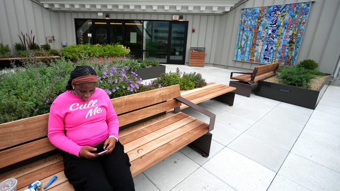 UMass Memorial's rooftop garden is a refuge for hospital staff
