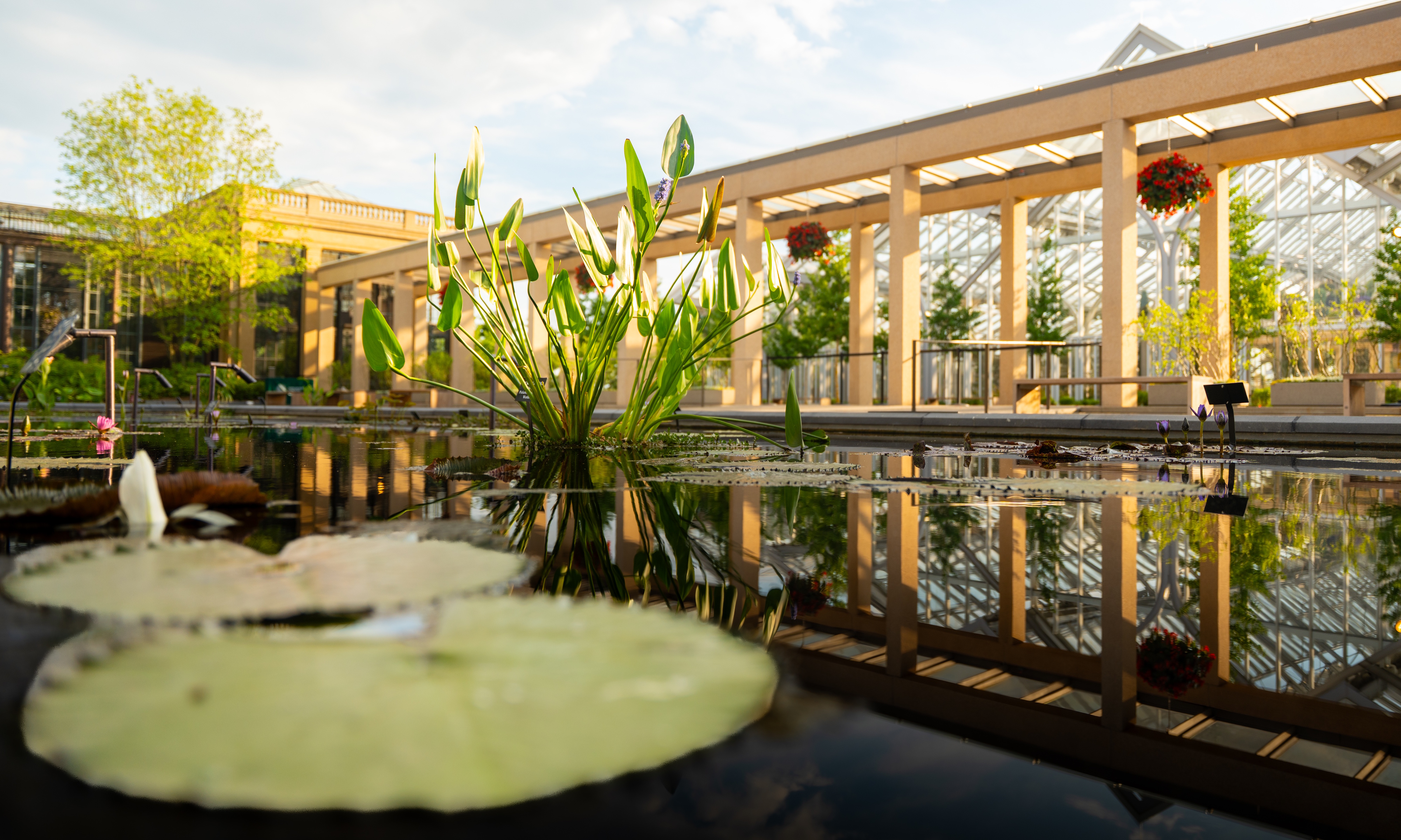 Waterlily Court at Longwood Gardens