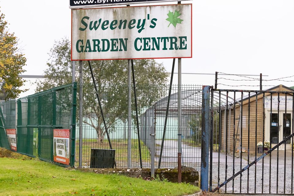 Old Sweeneys garden centre. Photo; Mary Browne