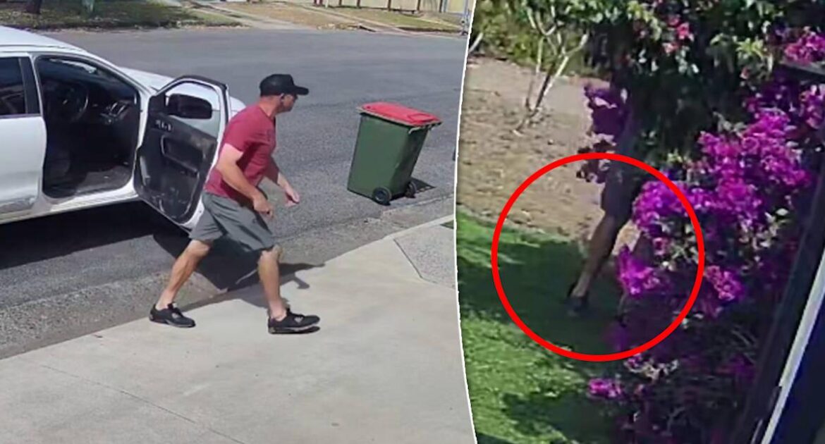 Ute driver called out for brazen plant act in front garden of Aussie home: ‘Lowlife’ Ute driver called out for brazen plant act in front garden of Aussie home: 'Lowlife'