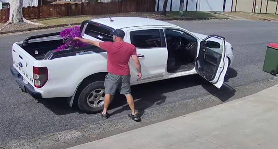 The man throwing the bougainvillea into his ute. 