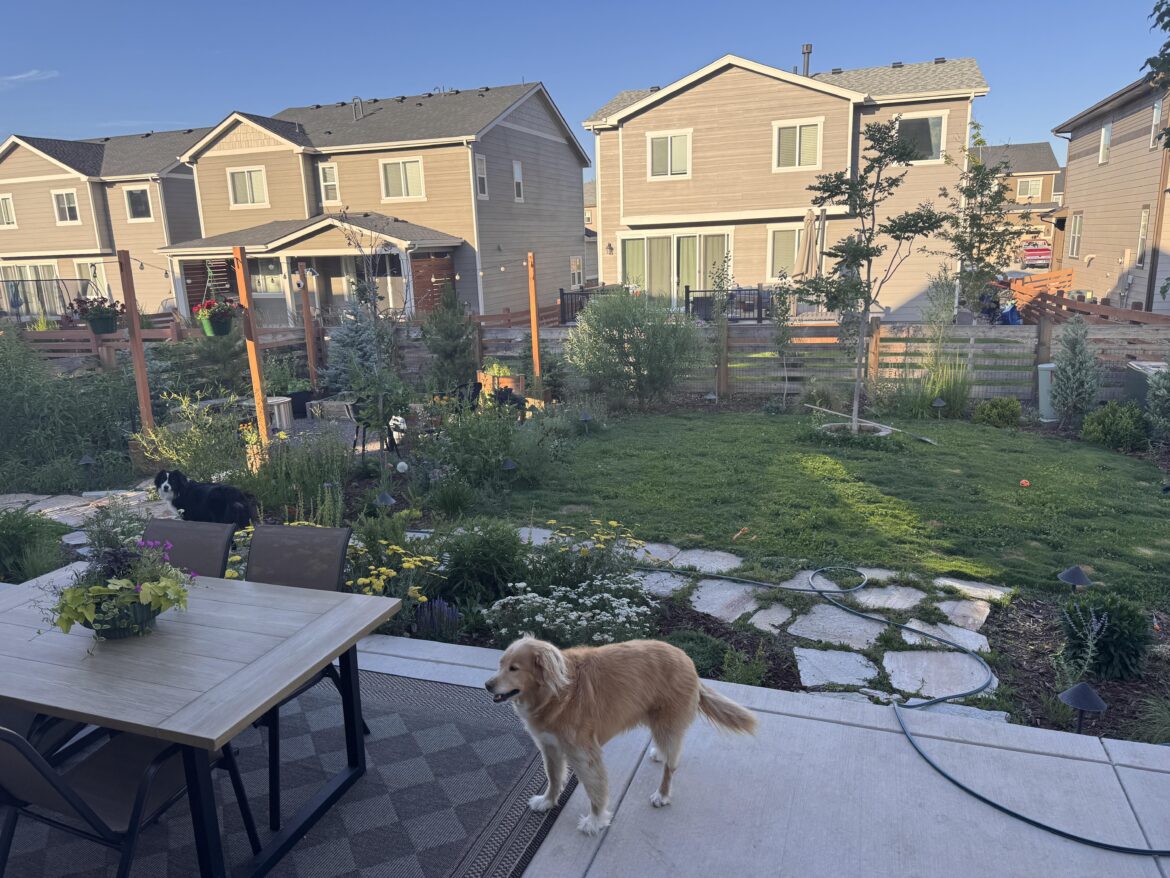 (Mostly) no lawn