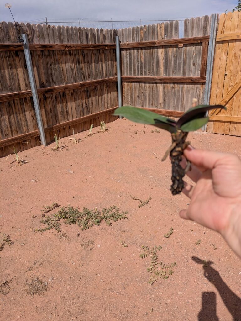 Please help! Please help!