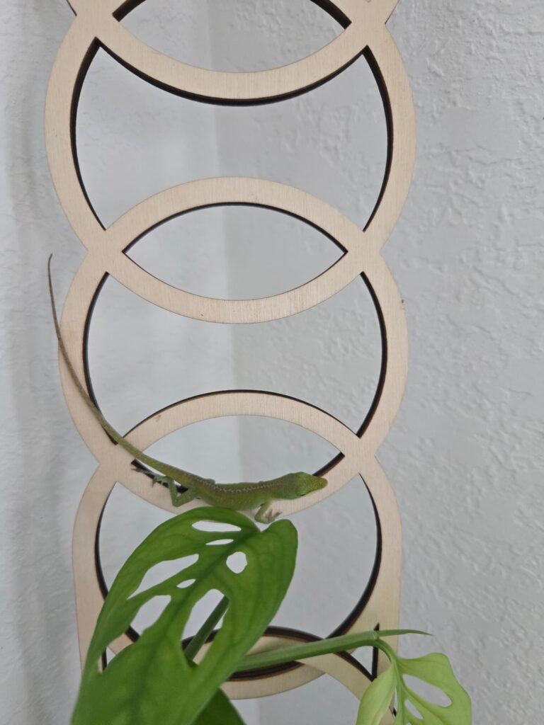 I have a lil visitor