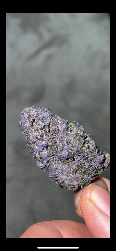 Relentless genetics rozay and trop cherry. Hydro/ coco core, drip. Relentless genetics rozay and trop cherry. Hydro/ coco core, drip.