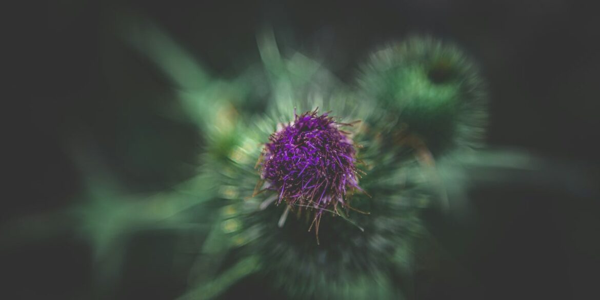 UK Gardeners Urged To Keep These 5 Weeds Alive In Autumn