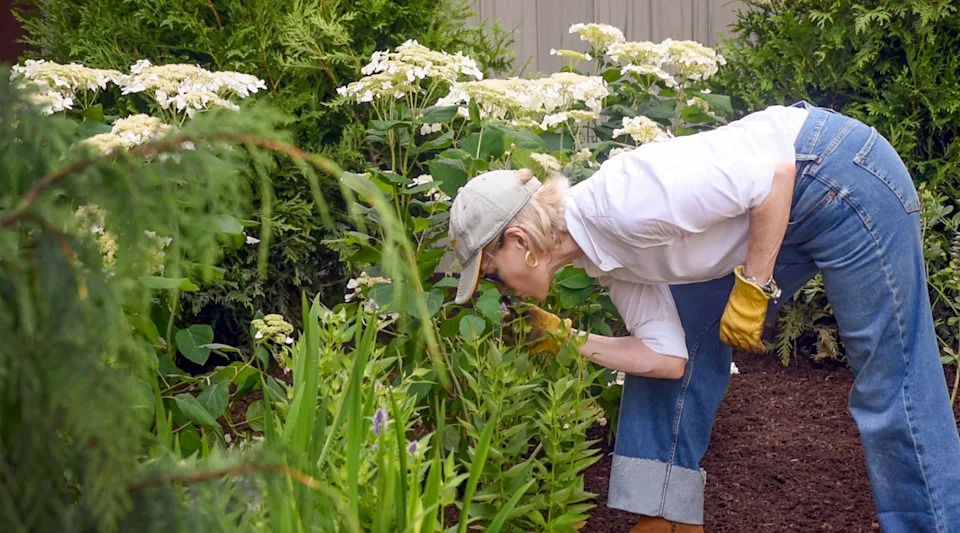 Fall is the best time of the year for planting trees and shrubs.