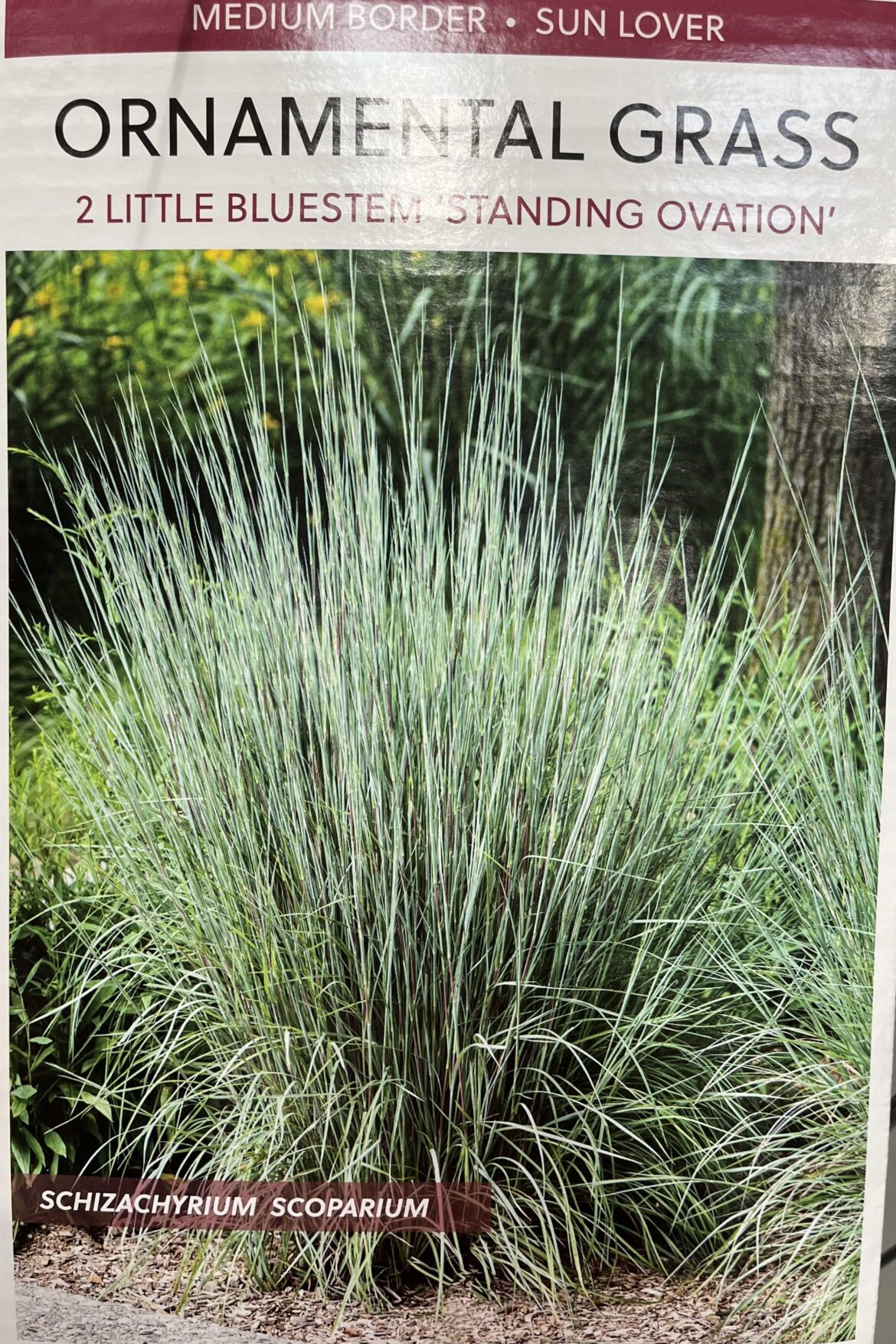 Costco selling native grasses?