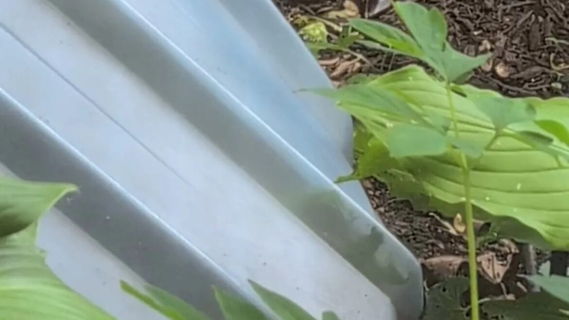 Yahoo lifestyle home