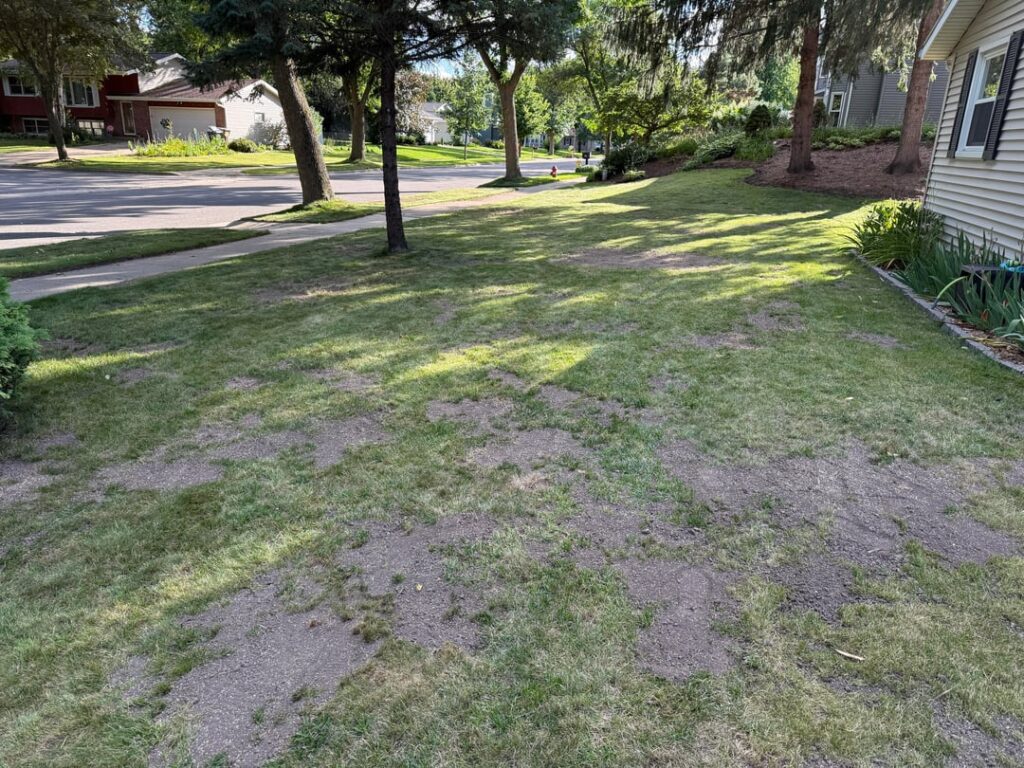 Overseeding/Leveling Before & After Overseeding/Leveling Before & After