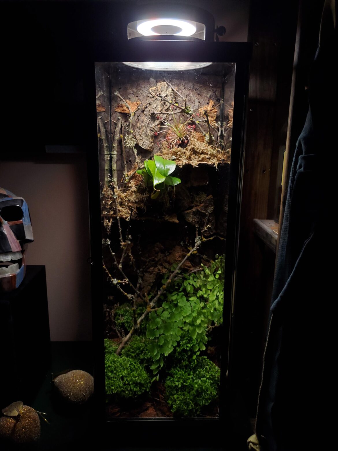 DIY vertical terrarium