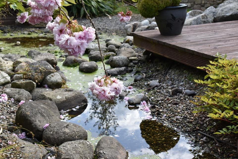 Iris Checkett's Japanese theme garden in Courtown has officially closed for good.