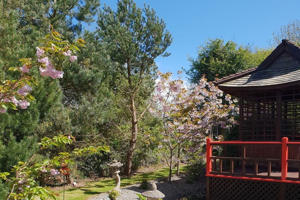 Iris Checkett's Japanese theme garden in Courtown has officially closed for good.