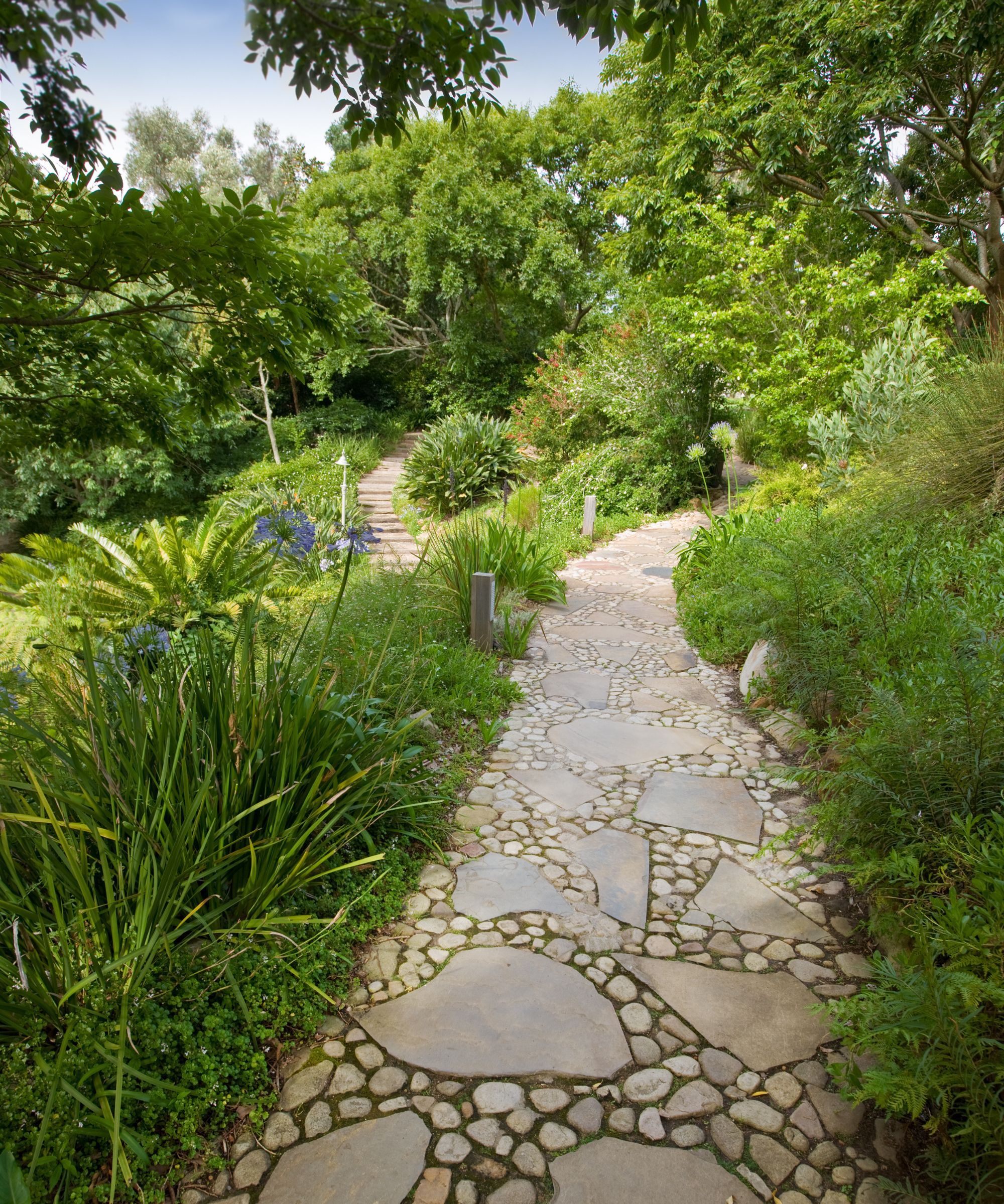 Crazy paving through a garden
