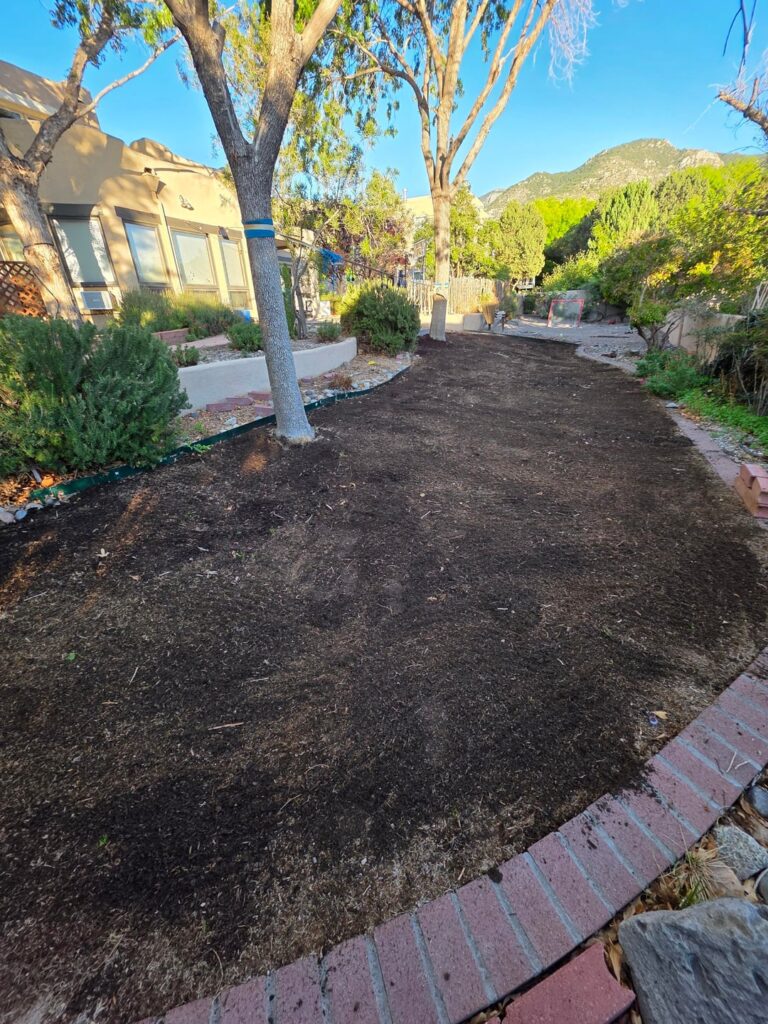 2 weeks in, new super turf II