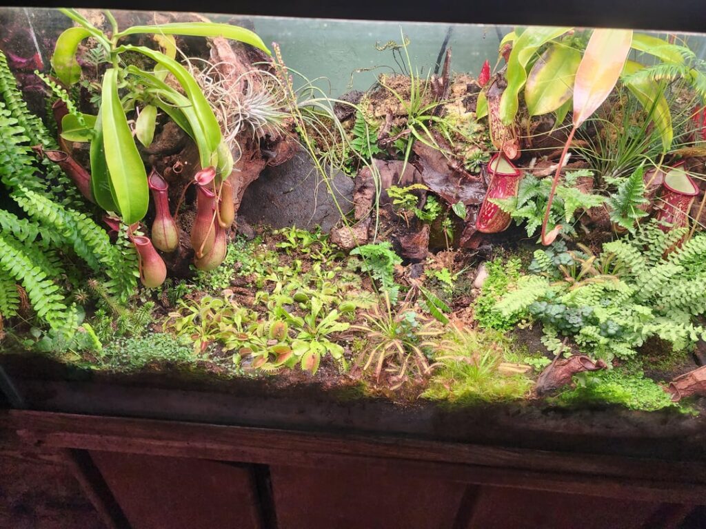 State of the savagarium