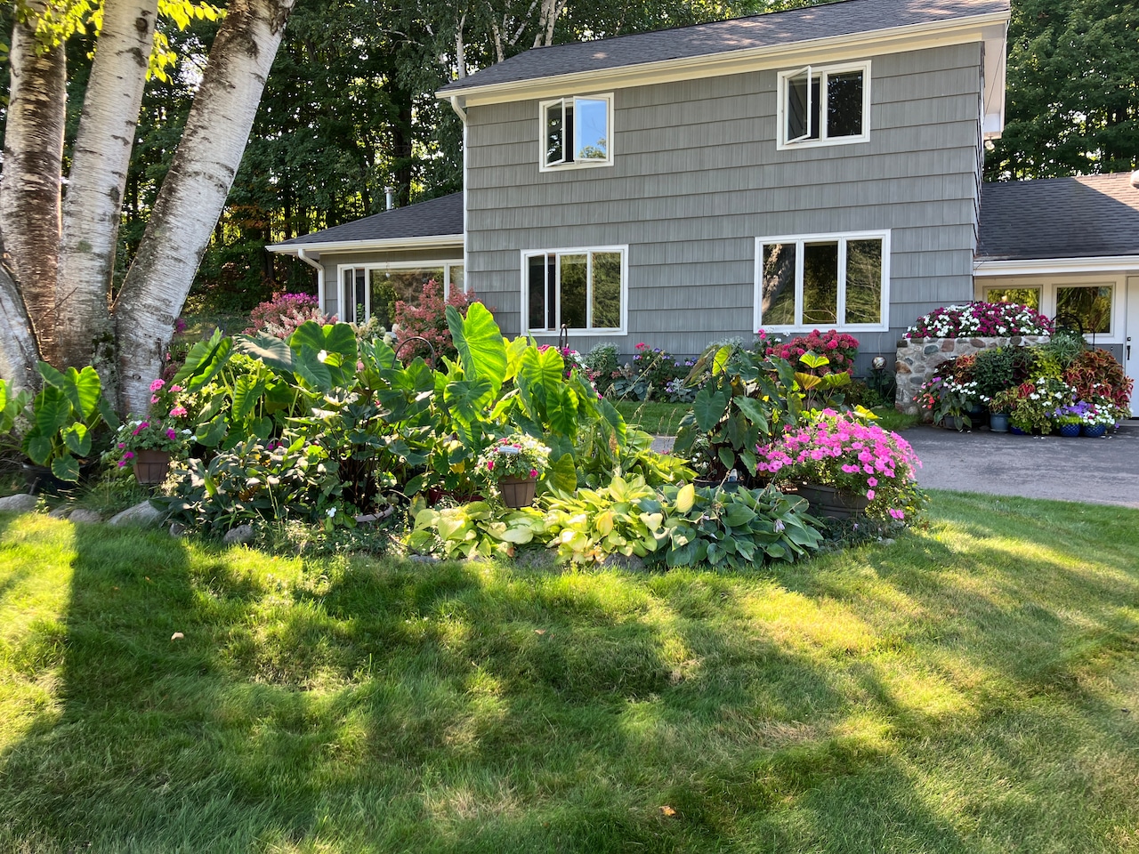 Best Flower Garden