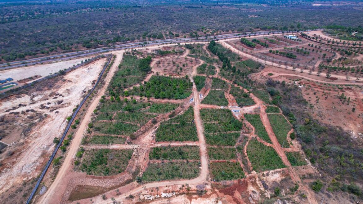 With spike in number of species, flora and fauna come alive at Karnataka’s upcoming botanical garden With spike in number of species, flora and fauna come alive at Karnataka’s upcoming botanical garden