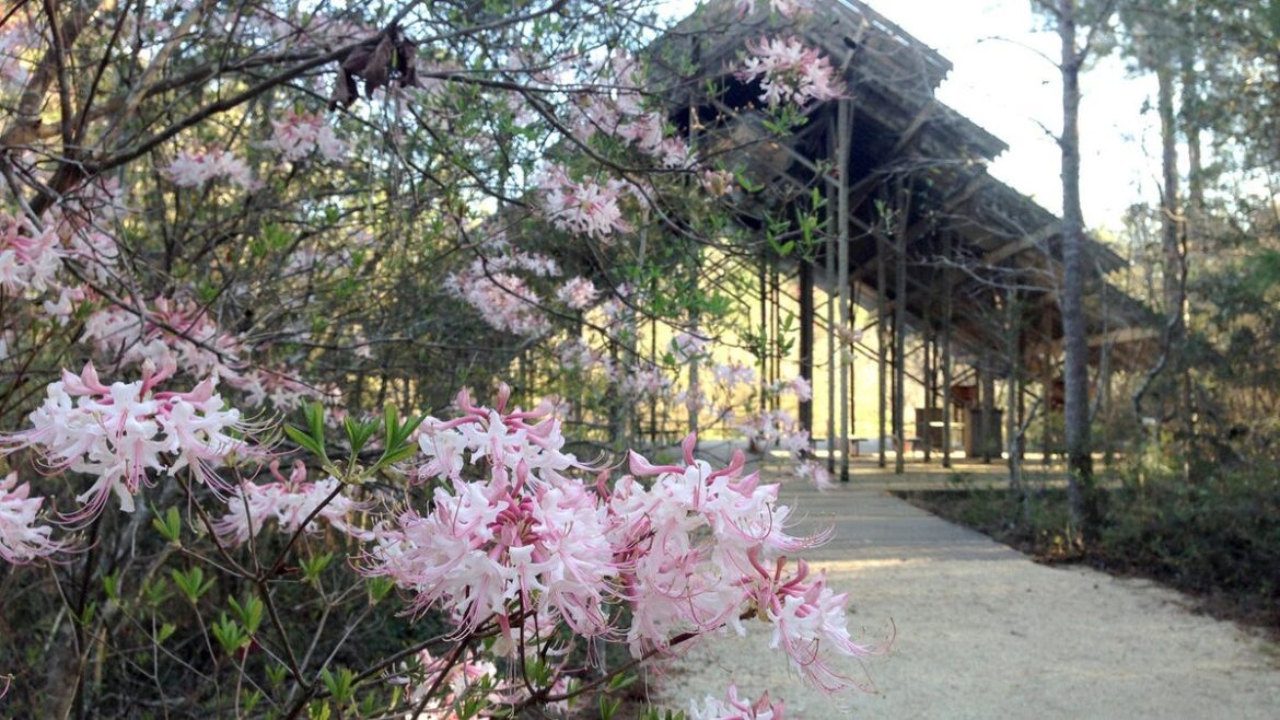 HGTV picks Crosby Arboretum as top garden in Mississippi. Here’s why HGTV picks Crosby Arboretum as top garden in Mississippi. Here's why