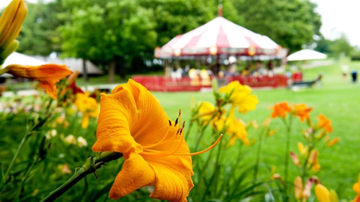 Best garden in Vermont? HGTV says it’s not far from Burlington Best garden in Vermont? HGTV says it's not far from Burlington