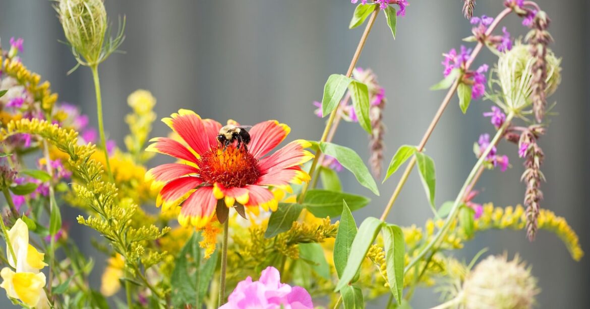 Pesky bugs in your garden? Any pesticide is a problem for pollinators