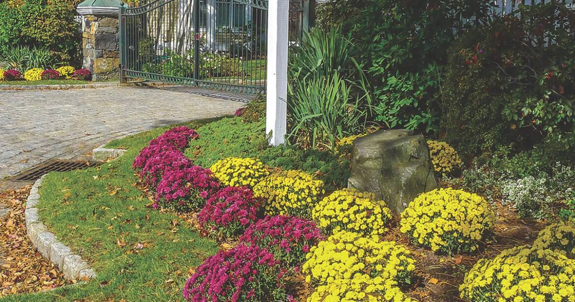 Extend fall gardening plans with Illinois Extension Four Seasons webinars – Shaw Local Extend fall gardening plans with Illinois Extension Four Seasons webinars – Shaw Local