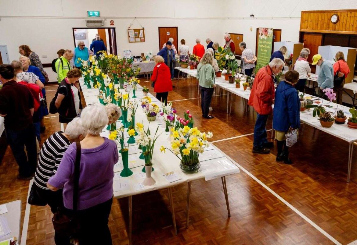 Diss and District Horticultural Society’s flower show to kick off tomorrow at Roydon Village Hall
