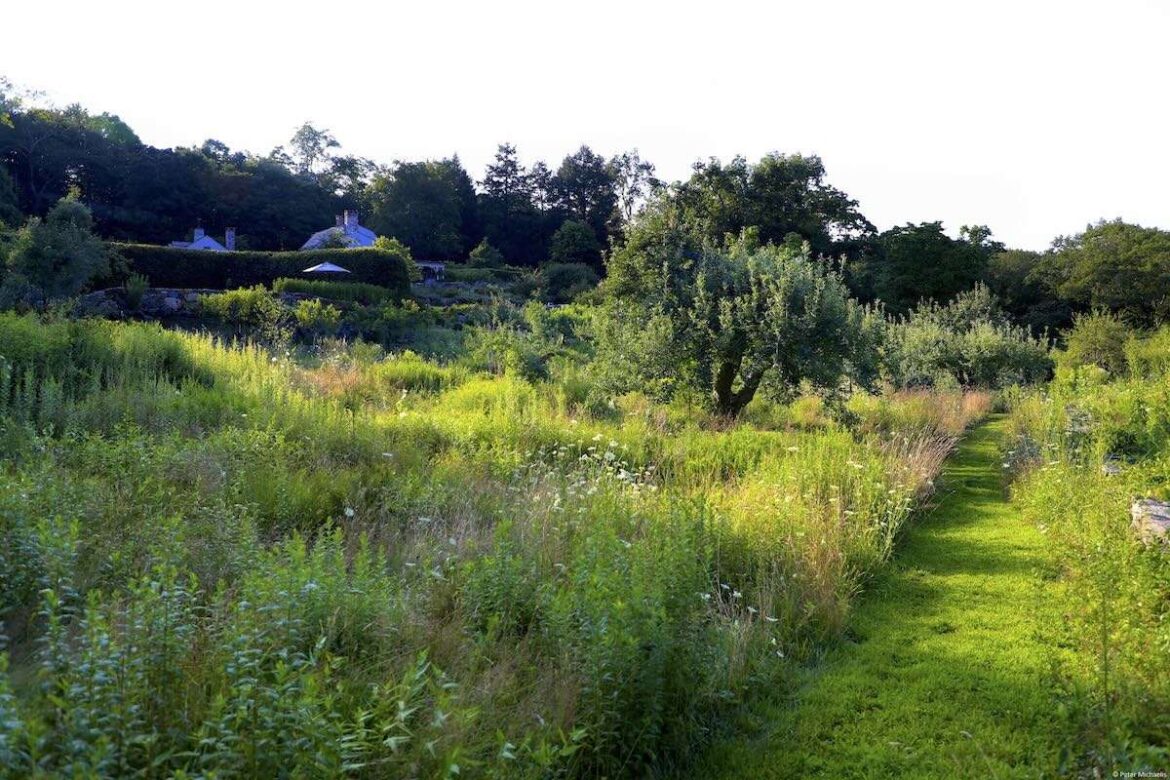 improving your garden’s legibility, with leslie needham improving your garden's legibility, with leslie needham