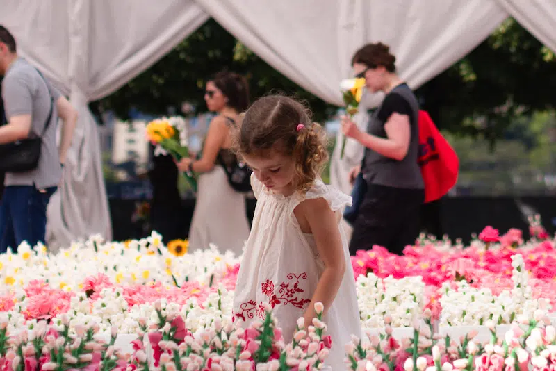 Little girl at Cj Hendry's Flower Market