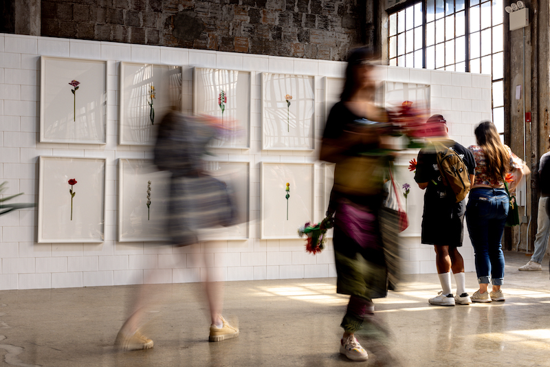 Installation view of Cj Hendry's Flower Market last year