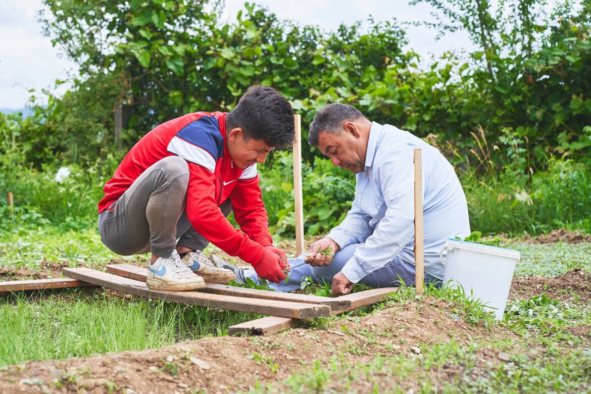 The Community Gardens Where Refugees Are Putting Down Roots The Community Gardens Where Refugees Are Putting Down Roots