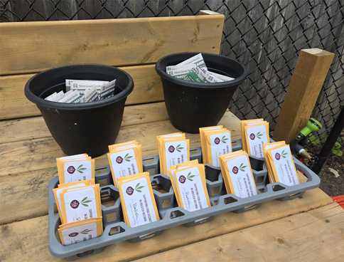 donated seeds, gardening