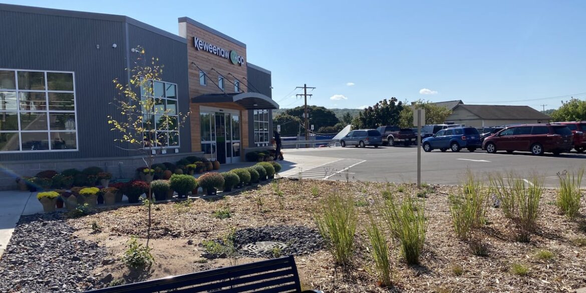 Keweenaw Co-op introduces new native plant garden on Quincy Street