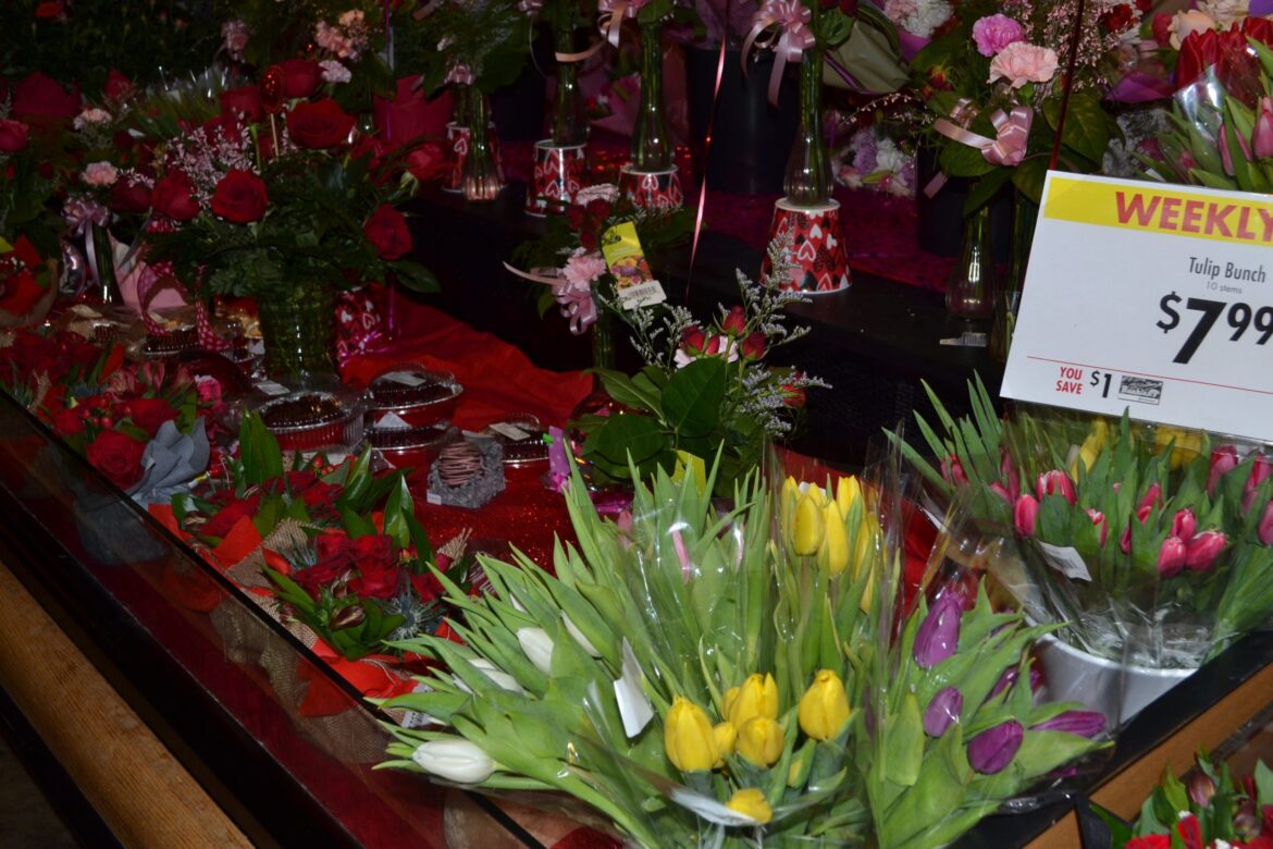 These bulbs bring color in winter & spring These bulbs bring color in winter & spring