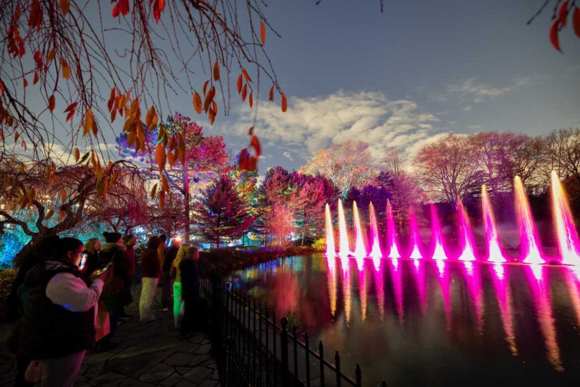 ‘Lightscape’ will transform the Brooklyn Botanic Garden into an ‘enchanted forest’ starting Nov. 21 • Brooklyn Paper ‘Lightscape’ will transform the Brooklyn Botanic Garden into an ‘enchanted forest’ starting Nov. 21 • Brooklyn Paper
