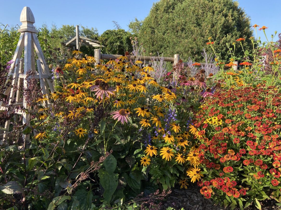 Gardening With Native Plants - Door County Pulse