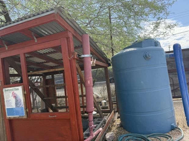 A water collection tank appears alongside an enclosure for chickens at the nonprofit Watershed Management Group site in Tucson, Ariz., on July. 19, 2025. (Anita Snow via AP)