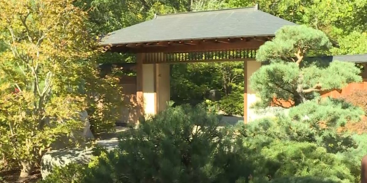 HGTV names Anderson Japanese Gardens most beautiful in Illinois
