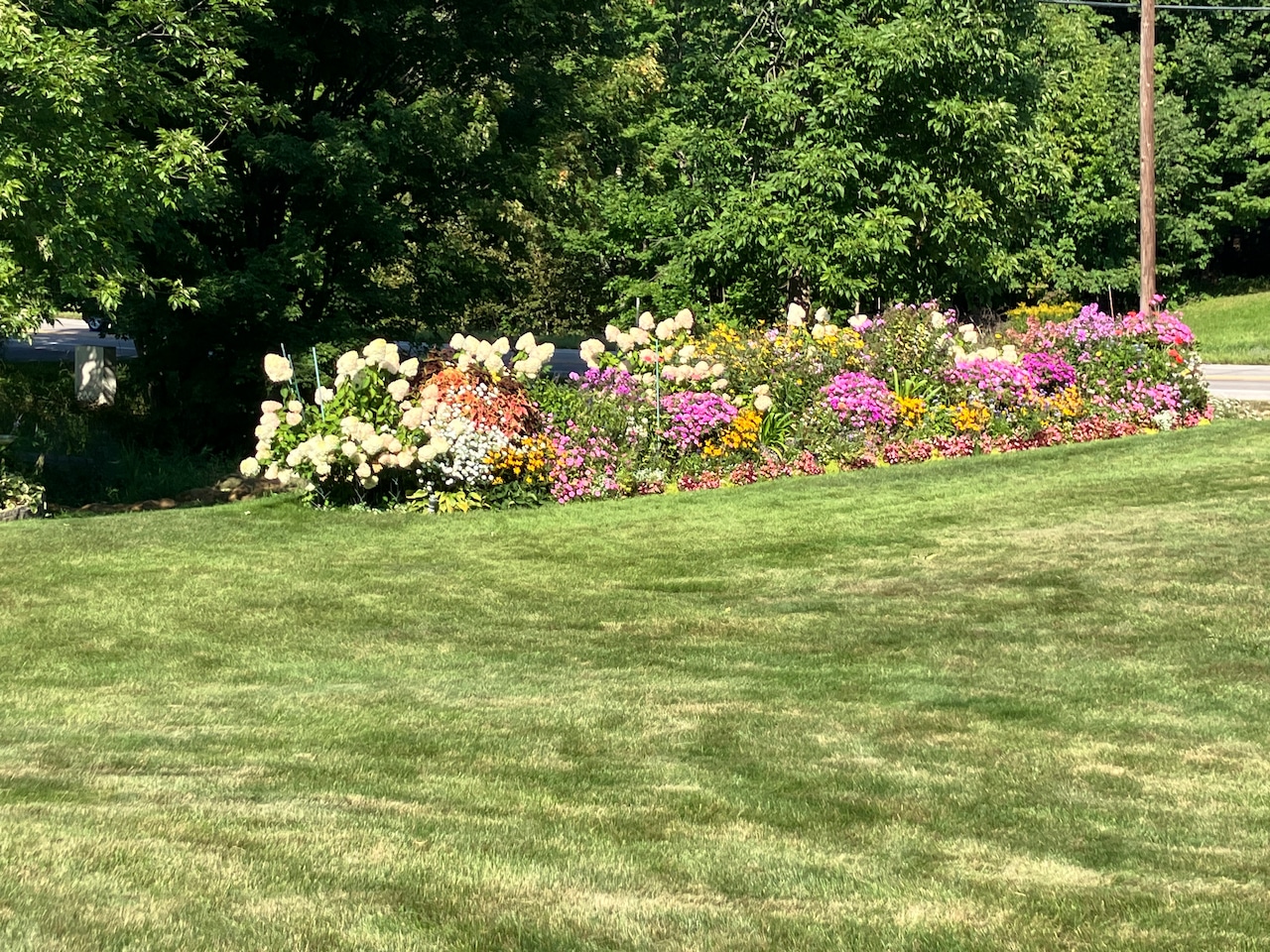 Best Flower Garden